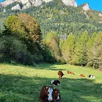 Chalet Z Pomostem