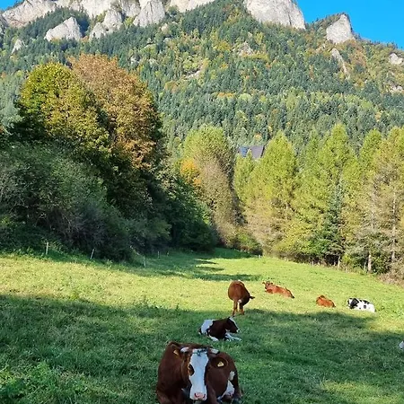 Chalet Z Pomostem Nad Jeziorem Czorsztynskim