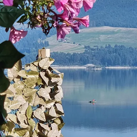 Z Pomostem Nad Jeziorem Czorsztynskim Chalet